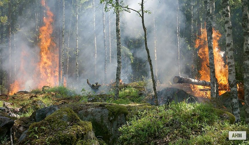 Orman Yangınlarına "Hızlı" Müdahale Mümkün Mü?