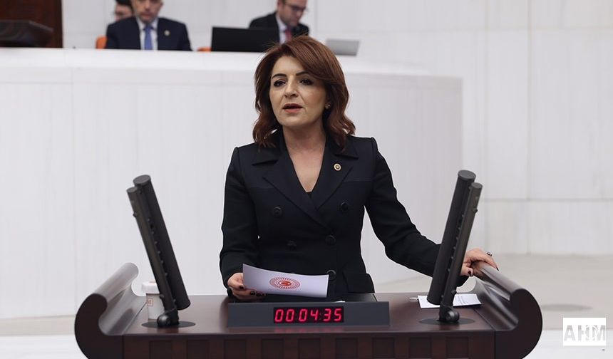 CHP’li Gülcan Kış’tan Torba Yasaya Sert Tepki!