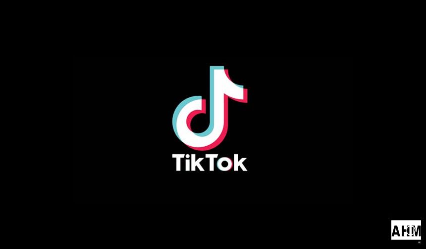 TikTok Videolarını Yazısız İndir | TikTok Yazısız Video İndirici