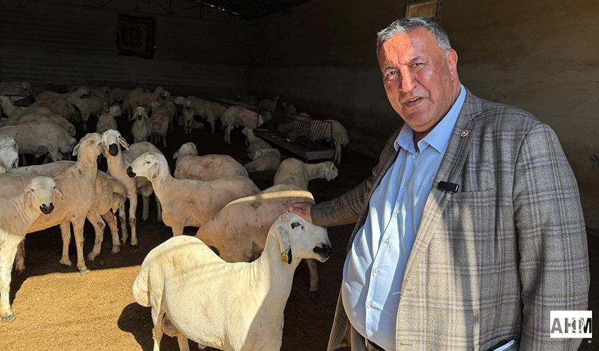 Gürer “Emekli Maaşı ile Kurban Alınamazken Asgari Ücrete de Kurbanlık Koyun Zor”