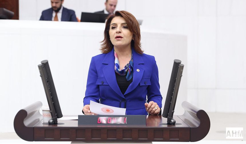 CHP'li Kış "Uyardık Dinlemediniz"