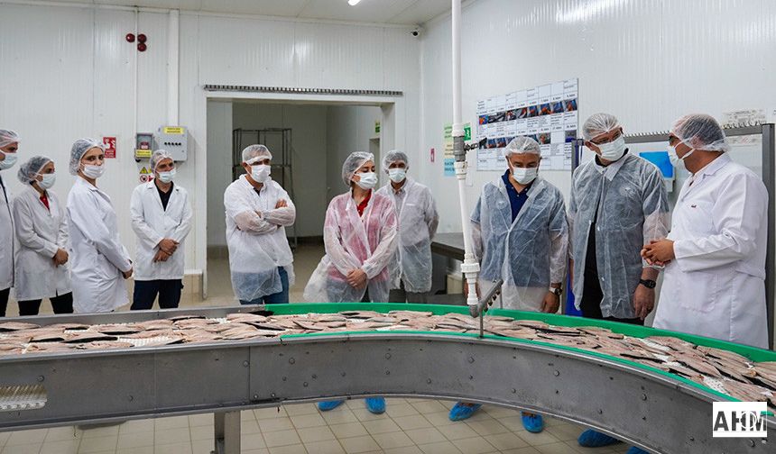 Su Ürünleri İşletmesine Ziyaret: Katma Değerli Ürünler İhracat Gururu