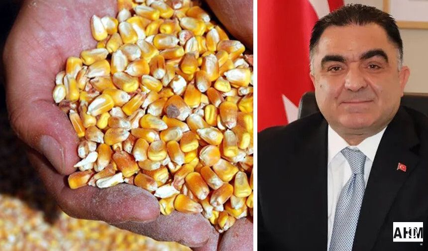 Adana Çiftçiler Birliği Başkanı Mutlu Doğru’dan Mısır Fiyatları İçin TMO’ya Çağrı