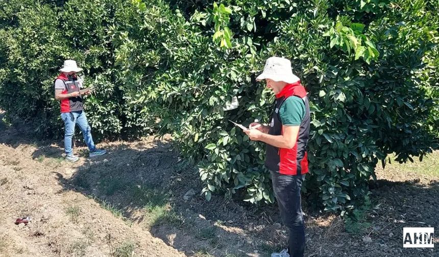 İl Tarım ve Orman Müdürlüğü’nden Uyarı: Sertifikalı Tohum Desteği Başvuruları 31 Temmuz’da Sona Eriyor!