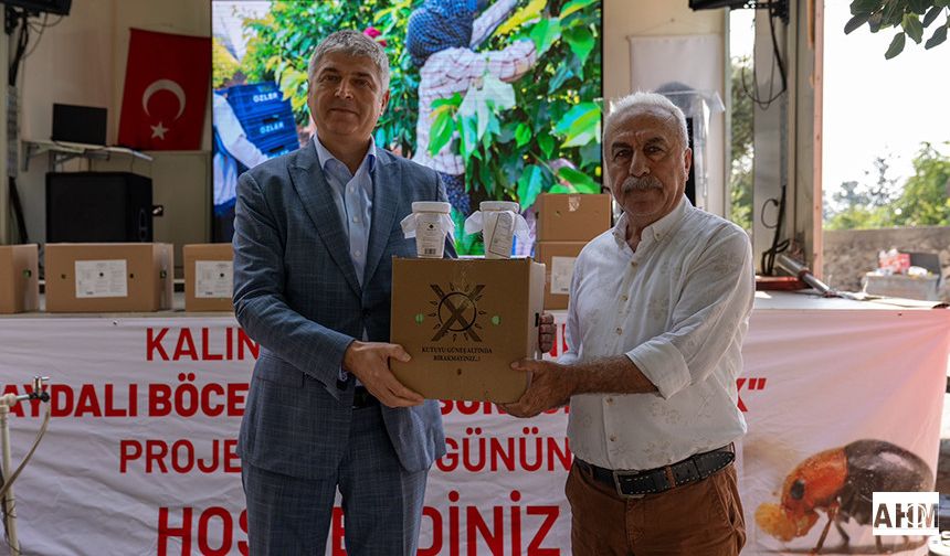 Adana’da Turunçgil Bahçelerinde Faydalı Böcek Salınımı Başladı
