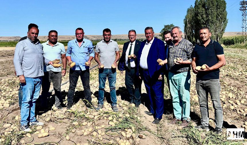 Gürer "Patates Tarladaki Dert Oldu"