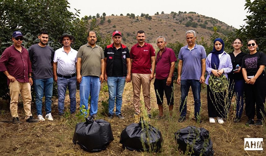 İl Tarım ve Orman Müdürlüğü’nden Çiftçilere “Meyve Sineği” Uyarısı