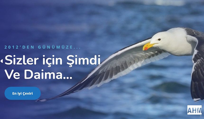 Felemenkçe Türkçe Çeviri ve Japonca Türkçe Çeviri