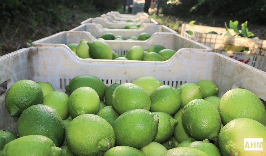 Tarımsal Girdi Fiyat Endeksi Şubat 2026: Artış Sürüyor