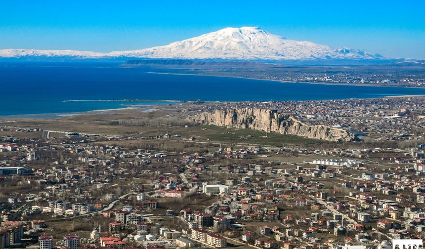 Van Kedisi: Bu Şehrin Sadece Bir Simgesi Mi, Yoksa Daha Fazlası Mı?