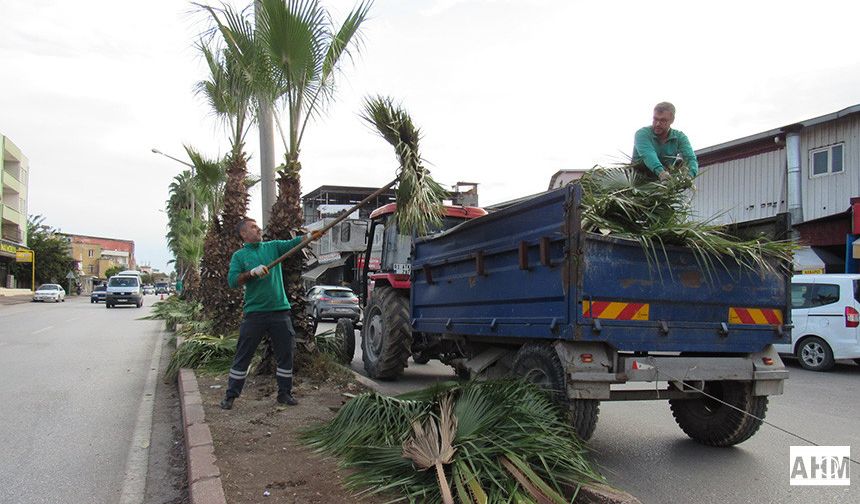 Adana Büyükşehir Belediyesi Şehir Genelinde Ağaç Budama Çalışmalarını Sürdürüyor