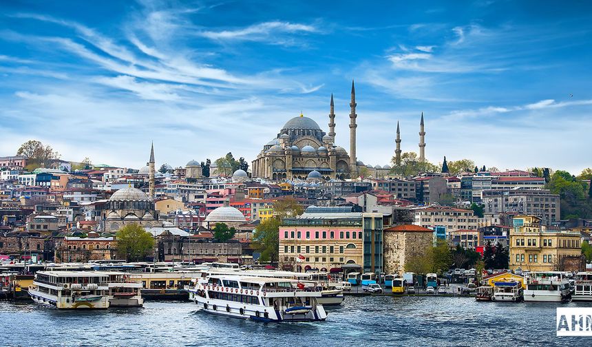 Sokak Hayvanları Sorunu Nasıl Çözüme Kavuşacak?