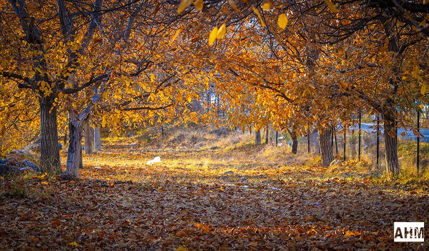 Pozantı’da Sonbahar Rotası: "Sadece Belemedik Değil, Tüm Mahallelerimiz Olacak"