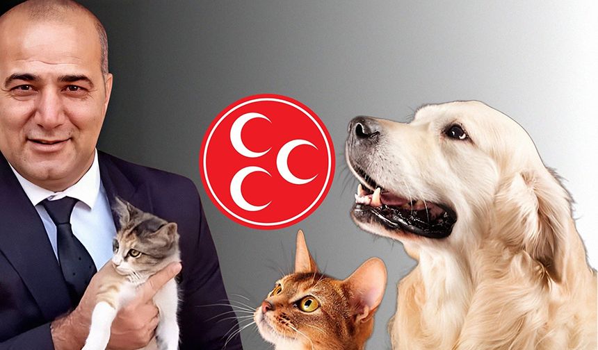 MHP Seyhan'dan İlginç Çağrı!