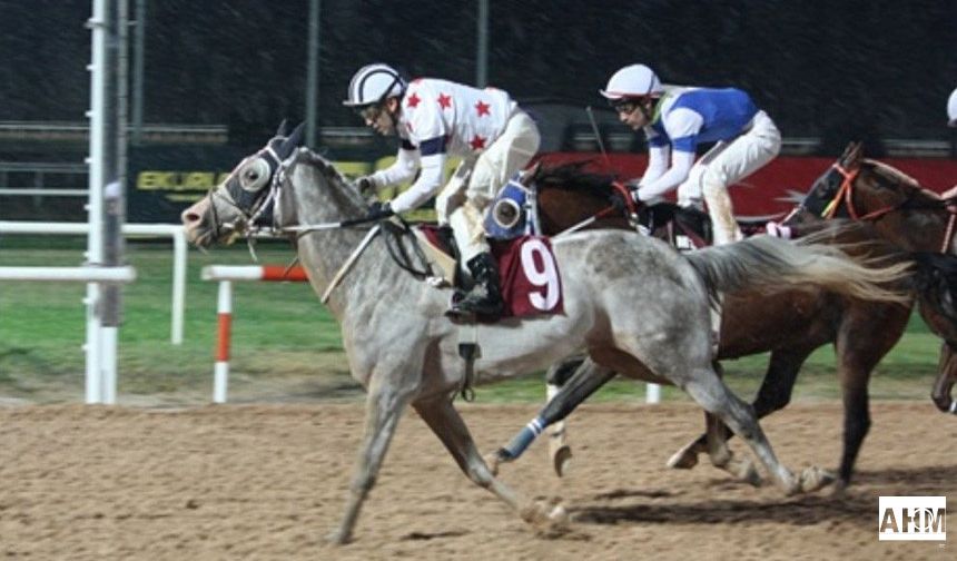 Pozantı Belediye Başkanlığı Koşusunu Kocaefe Kazandı