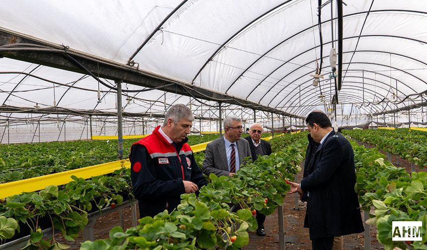 İl Müdürü Bayazıt’tan Narenciye İşletmesine Ziyaret
