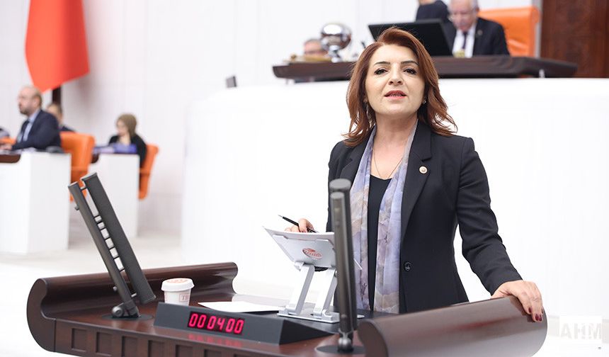 CHP’li Gülcan Kış "Faize 228 Milyar Dolar Bulundu, Emekliye 28 Bin Lira Çok Görüldü"