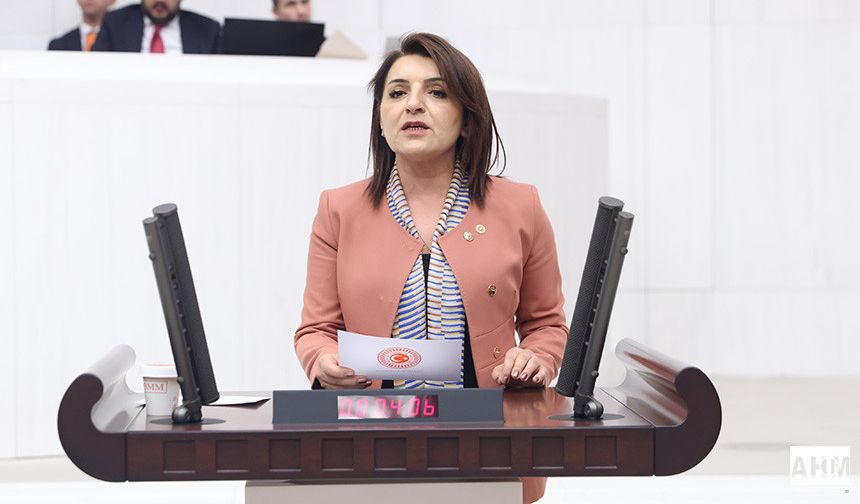 CHP’li Gülcan Kış “Milli Parklar Kanunu, AKP’nin 24 Yıllık Son Satış Kataloğudur”