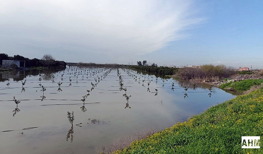 Çukurova'da Tarım, 2026'da Aşırı Yağışların Baskısı Altında