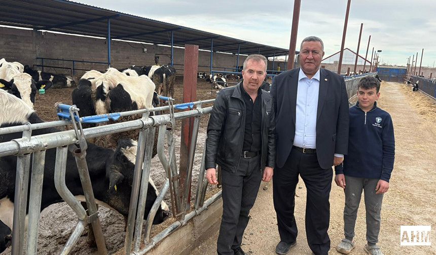 Gürer “Köyler Değişiyor, Hayvancılıkta Dertler Aynı”