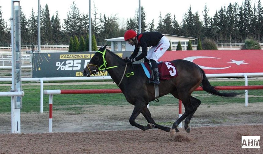 Atlar TSYD İçin Koştu