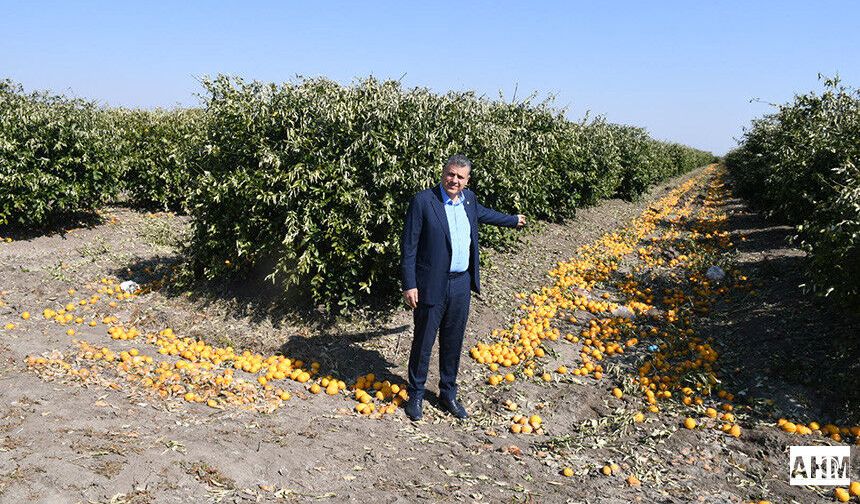 "Limonda İthalat Kararı Üretime ve Üreticiye Darbedir"