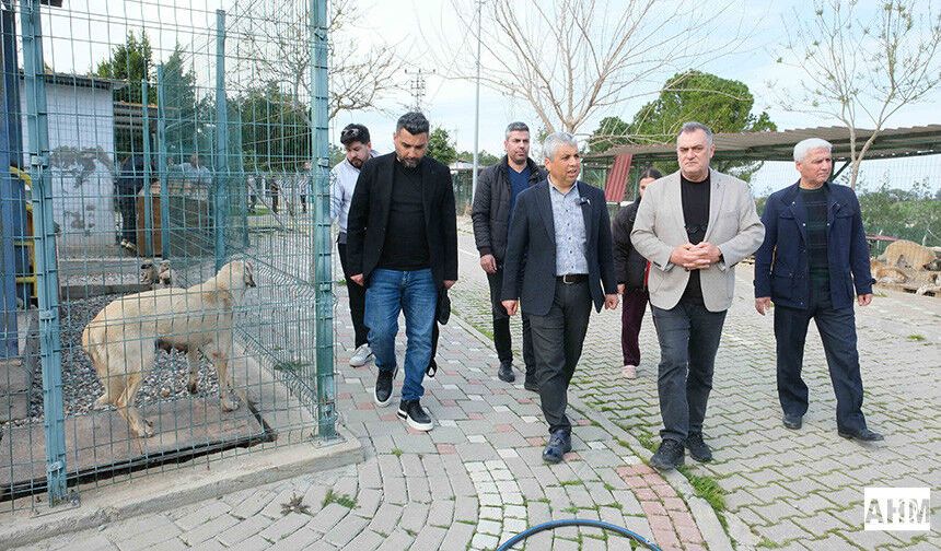 “Yeme Ya Da Saldırı Değil, Davranış Gereği”