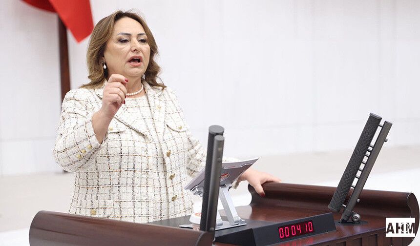 Müzeyyen Şevkin “Mülkiyet Hakkı İçin Meclis Harekete Geçmeli”