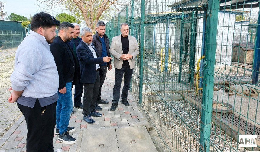 Görüntüler Yanlış Yorumlanıyor: "Bu Davranış ‘Yeme’ Değil”