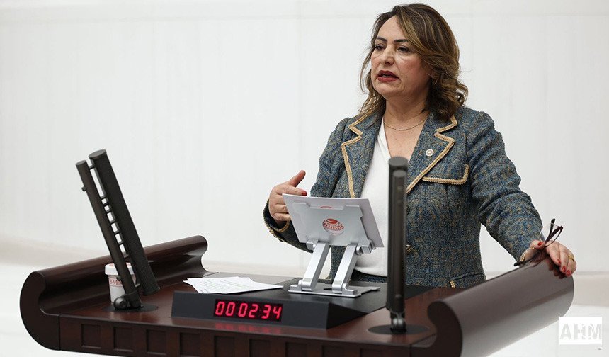 Müzeyyen Şevkin Adana'nın Sorunları İçin Meclis'te Soru Önergesi Verdi