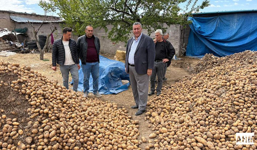 Gürer “Binlerce Ton Patates Hayvan Yemi Oldu”