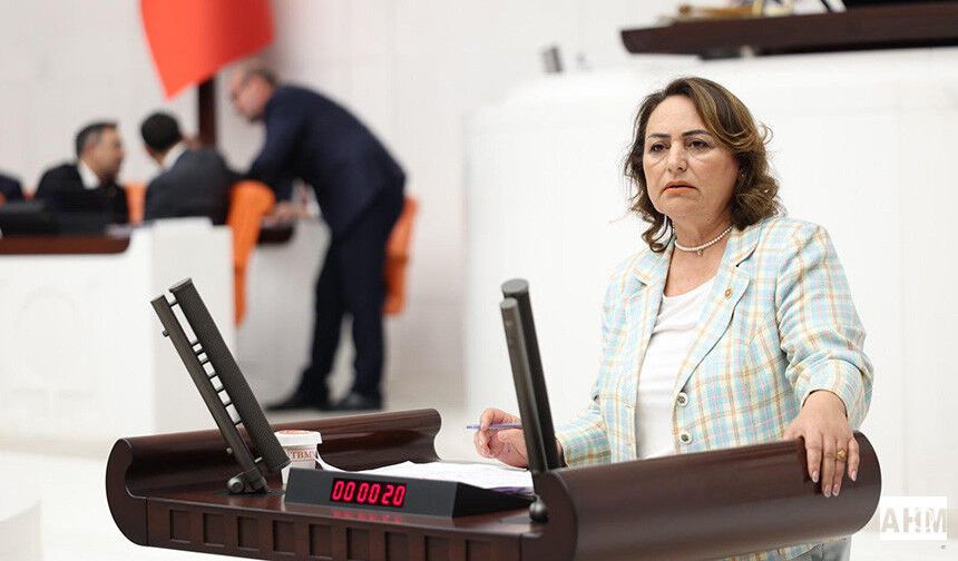 CHP'li Dr. Müzeyyen Şevkin TBMM'de iktidara yüklendi
