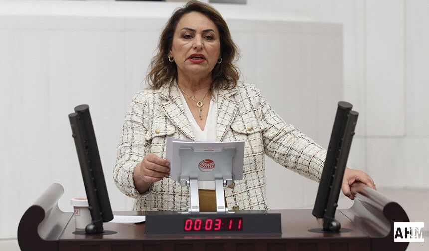 Müzeyyen Şevkin, TBMM'de NATO Zirvesi Öncesi Yaşananlara Tepki Gösterdi